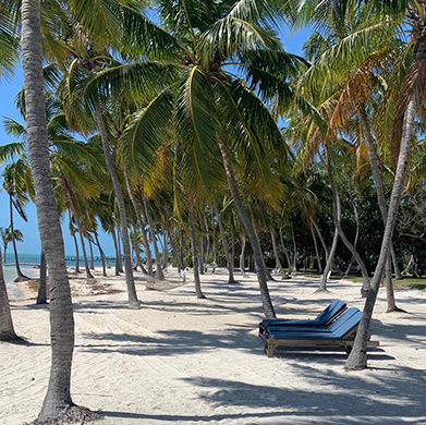 hammock on the beach